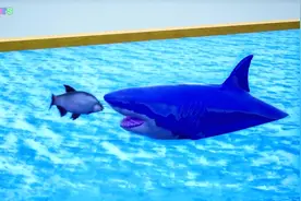 创意早教，大猩猩用彩色鱼喂养小鲨鱼！