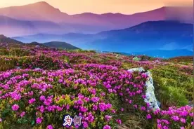 忖量——肃静版！视频封面