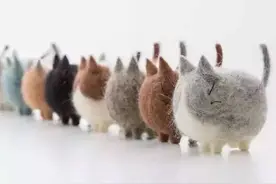 萌物 | 冬季猫奴必备，最萌的羊毛毡猫咪萌物~图片