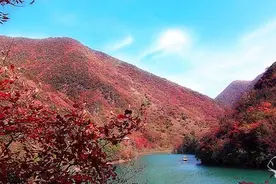 五龙河之秋--游记图片