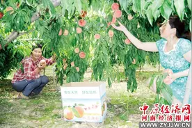 周口市黄泛区农场郭庄村大力发展果品种植业图片