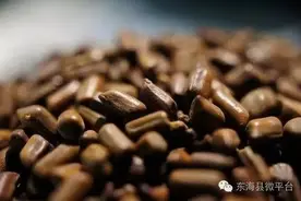 东海的家长注意啦！决明子“沙池”隐患多 儿童玩耍应监督图片