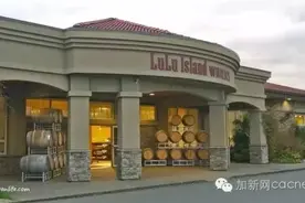 加拿大酒商面临无期徒刑 ，两夫妇走私3亿冰酒被中国海关拘捕图片