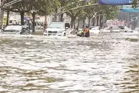 猪也是会中暑的，如何给猪降温？图片