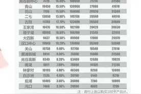 高房价惹祸！武汉换房客放弃大光谷迁徙汉口常青！图片