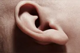 耳朵长什么形状的人天生富贵？图片