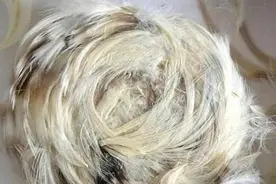 不可思议：听到三声敲门开门却没人，预示着什么？图片