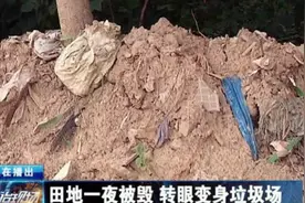 郑州村民痛心，15亩田地一夜被毁，转眼变成了垃圾场图片