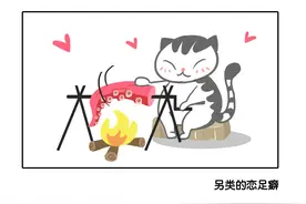 盘点那些隐秘的特殊癖好——恋物癖图片