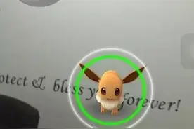 脑洞大开丨当马刺队遇上Pokémon Go会发生些什么？图片