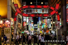 东京歌舞伎町：从沼泽地到红灯区图片