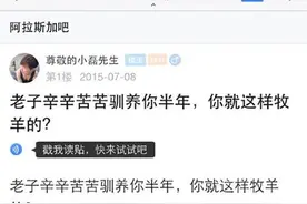 真的没想到！原来牧羊犬是这样放羊的！太邪恶了！图片