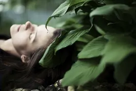 下雨天，为什么睡觉特别香？图片