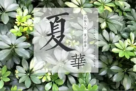 海珠丨在瑞宝，寻找夏日的那一抹小清新图片