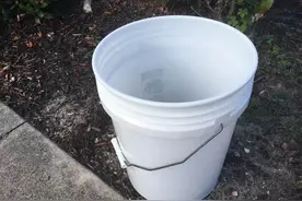 小猫不慎被卡车载走，没想到竟幸运找到猫妈妈一家重逢图片