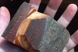 手工帝随手捡了一块木头，竟然雕出一只呆萌小乌龟图片
