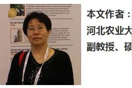 荷兰设施园艺考察启示图片
