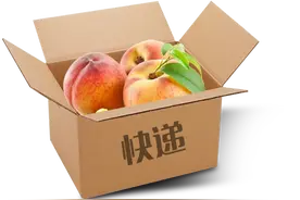 路边不见摊 阳山三成水蜜桃网上售出图片