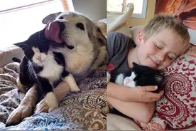 暖心妈妈选择领养20岁老猫，让它变成全家最疼爱的对象图片