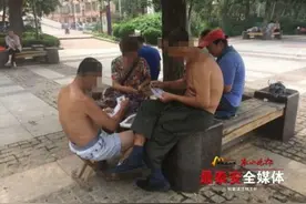 炎炎夏日 “膀爷” 现泰城图片