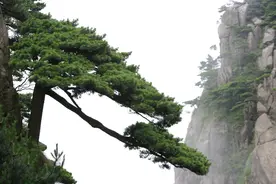 每日段子：这才是真爱，这一定是真爱图片