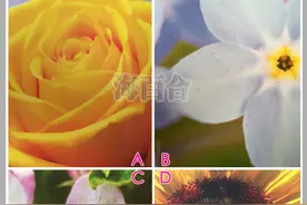 神准占卜 | 最近哪方面需要“疗愈”一下？图片