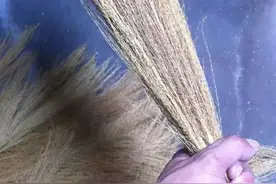 手工扎把扫帚，耐用还扫的干净。图片