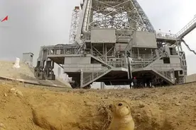 实拍拜科努尔航天发射基地的一只“土拨鼠”！越看越搞笑图片