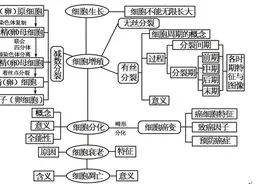高考生物系列 生物总结六 细胞的生命历程图片