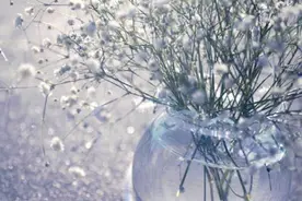 拍毕业那天图片