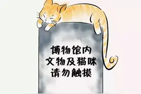 西安网红喵被驱逐遭网友热议，它怎么会落得如此下场？图片