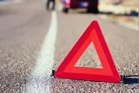 奇葩车主竟用它做警示牌！众网友称它为年度背锅王图片