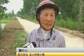 非要给牛做亲子鉴定，到底咋回事，原因竟是......图片