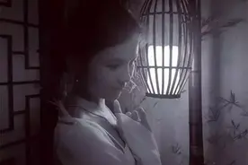 我是一只等爱的白狐图片