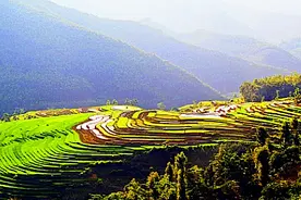 百色那坡，抹不去的“黑”色诱惑图片