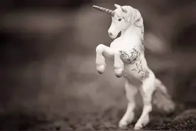 真实存在的“独角兽”图片