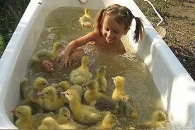 少女与鸭子们的日常 公园长凳上的情侣 羞！图片