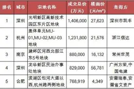 2016年最近更新的"地王"排行榜图片