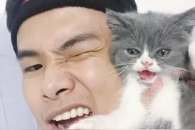 谢谢你们长得这么好看还关注我图片