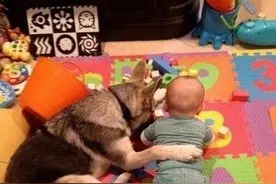 ​学妹饭堂的都比趣事段子图片