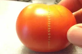 食物也成精了！20种进化怪异的食物你还认得出它们吗？图片