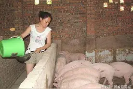 为了养家糊口,供养三个孩子读书,农村的她唯有卖力养猪!图片