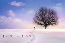 沧海桑田，随缘尽分图片