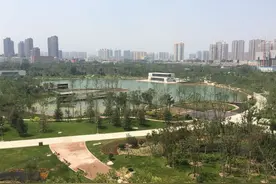 颜值爆表！和平公园今日开放，靓景抢先看!图片