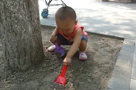 最受农村孩子欢迎的玩具居然是免费的，而且哪里都可以找到图片