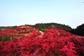 建军节各大景区放大招    重庆多地军人免费游玩图片