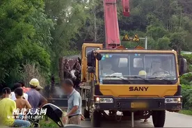 浦北百万巨型水浸木丢弃百年 重型机打捞巨型水浸木 谁敢估价？图片