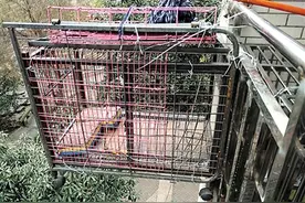 积怨!楼上住户将狗笼挂阳台 狗毛粪便直落楼下图片