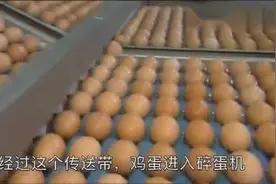 国外的鸡蛋工厂！全自动机械化设备，日处理量高达250万枚视频封面