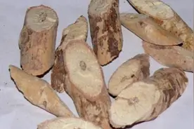 榆白皮泡水喝的禁忌图片